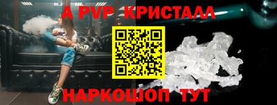 бошки Шелехов