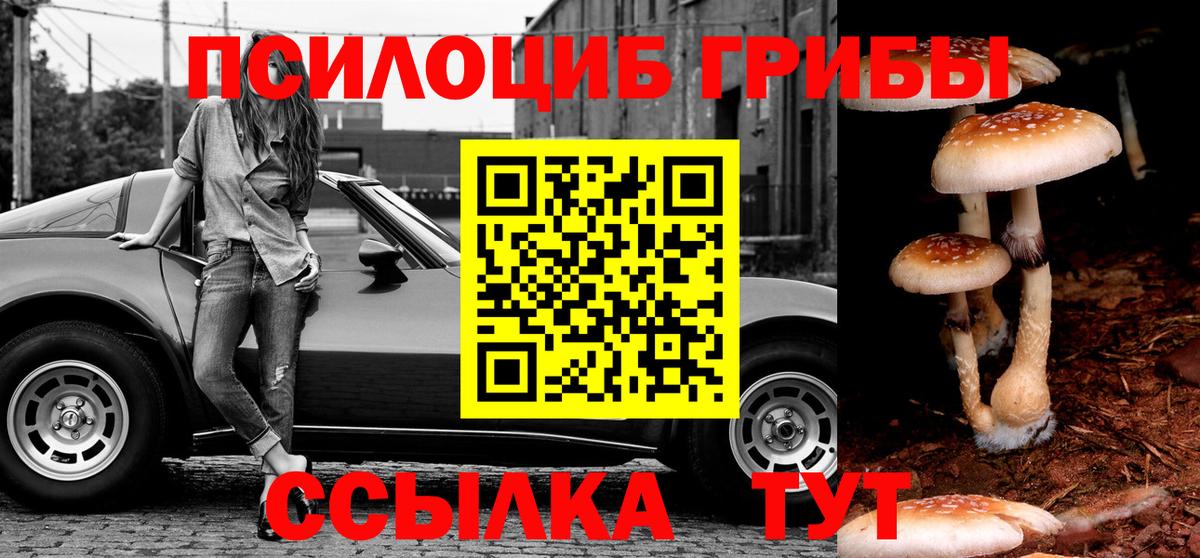 Салават  Псилоцибиновые грибы ЛСД  Вход с VPN  Псилоцибиновые грибы прущие грибы 